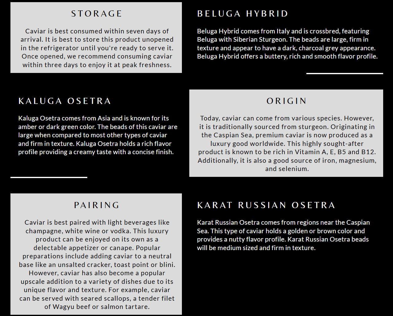 Pasted Image